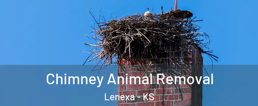  Chimney Animal Removal Lenexa - KS