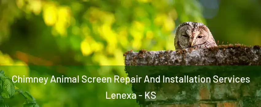  Chimney Animal Screen Repair And Installation Services Lenexa - KS