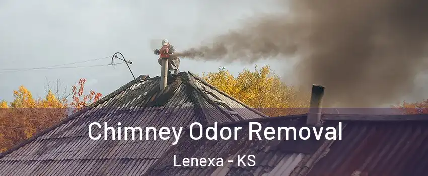  Chimney Odor Removal Lenexa - KS