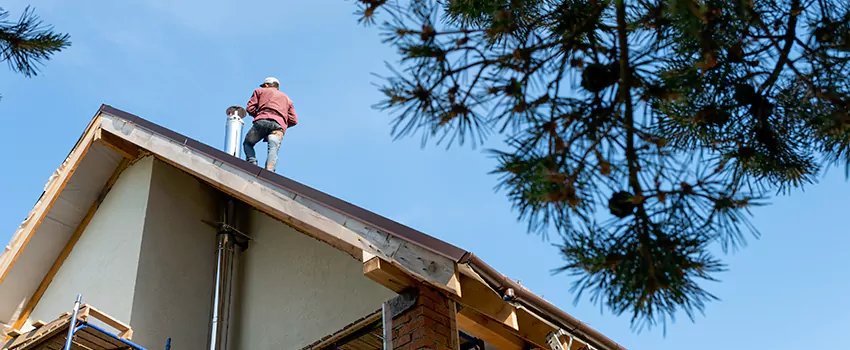 Birds Removal Contractors from Chimney in Lenexa, KS