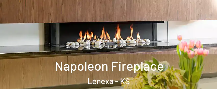  Napoleon Fireplace Lenexa - KS